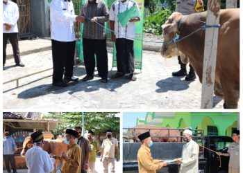 Tingkatkan Kepedulian Antar Sesama, Ka.Kankemenag Serahkan Qurban ASN Kemenag Pati